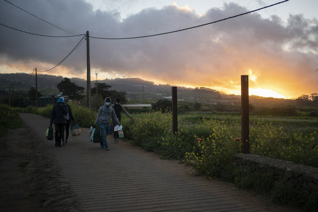 Chan thuc cuoc song mac ket tai quan dao Canary cua nguoi di cu-Hinh-5