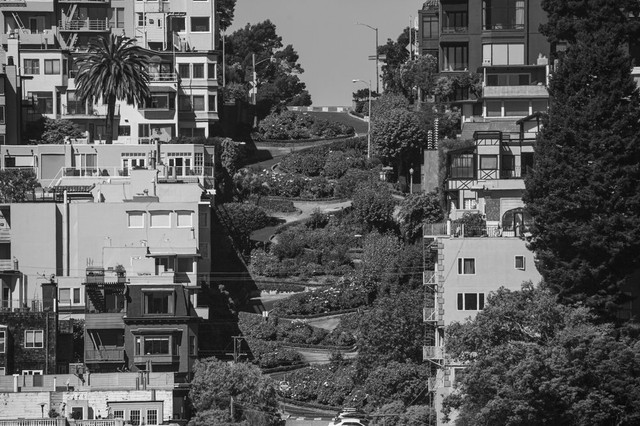 Cận cảnh San Francisco những ngày im ắng giữa COVID-19 - Hình 11 Can canh San Francisco nhung ngay im ang giua COVID-19-Hinh-11