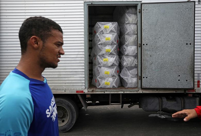 Cuộc sống trong “ổ dịch” COVID-19 lớn nhất khu vực Mỹ Latinh - Hình 9 Cuoc song trong “o dich” COVID-19 lon nhat khu vuc My Latinh-Hinh-9