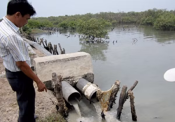 Ba Ria – Vung Tau co 135,95 ha dat bi o nhiem-Hinh-2