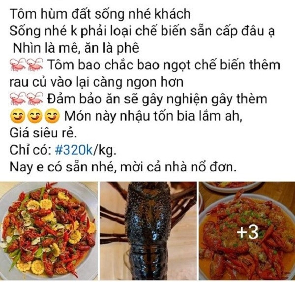 Tôm hùm đất được rao bán tràn lan trên mạng Tom hum dat duoc rao ban tran lan tren mang