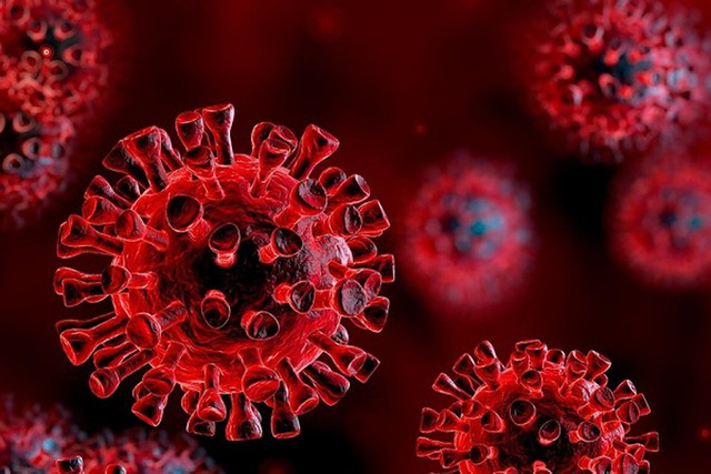 Biến chủng Omicron: Những con số báo động ở Anh - Hình 11 Bien chung Omicron: Nhung con so bao dong o Anh-Hinh-11