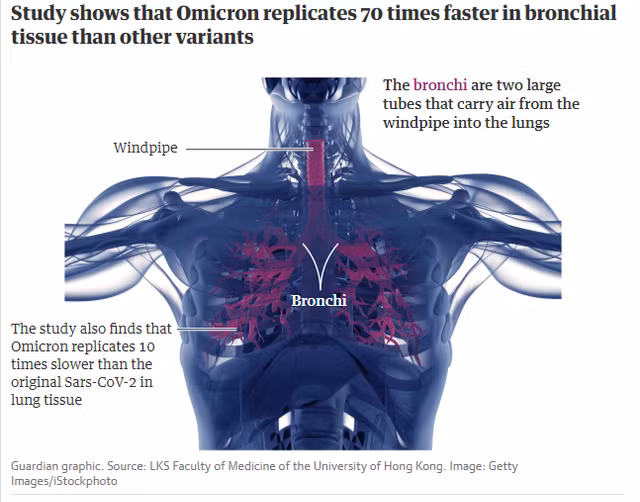 COVID-19: Bien the Omicron de lay hon Delta nhung it gay benh nang