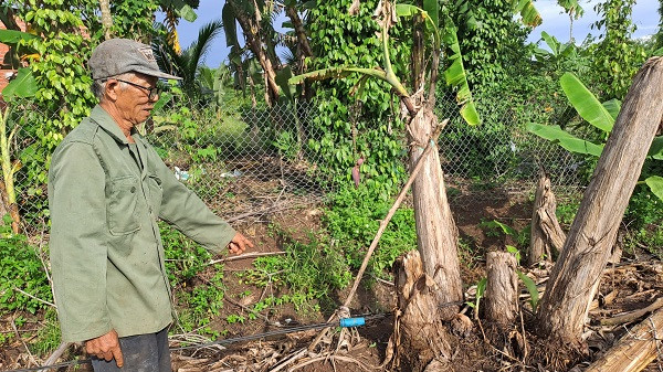 Đường trung tâm xã Bàu Chinh (huyện Châu Đức): Công trình xong, điện không có cho dân dùng - Hình 3 Duong trung tam xa Bau Chinh (huyen Chau Duc): Cong trinh xong, dien khong co cho dan dung-Hinh-3