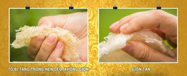 Lẫn lộn thật giả thị trường Yến sào - Hình 3 Lan lon that gia thi truong Yen sao-Hinh-3