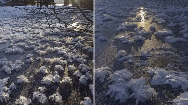 Chum anh nuoc Nga chim trong mua dong lanh gia-Hinh-6