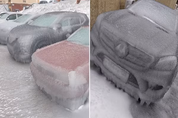 Chum anh nuoc Nga chim trong mua dong lanh gia