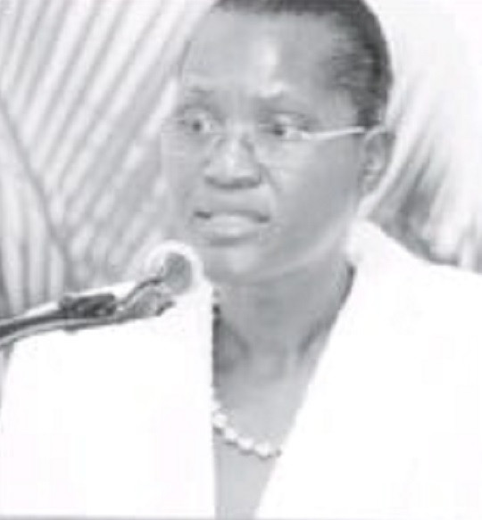 Chân dung nữ nghi phạm đầu tiên ám sát Tổng thống Haiti - Hình 5 Chan dung nu nghi pham dau tien am sat Tong thong Haiti-Hinh-5