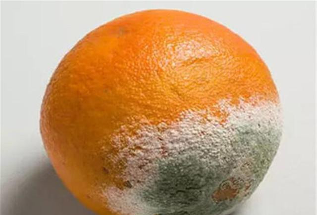 Loại thực phẩm rất quen thuộc dễ sinh chất gây ung thư Loai thuc pham rat quen thuoc de sinh chat gay ung thu