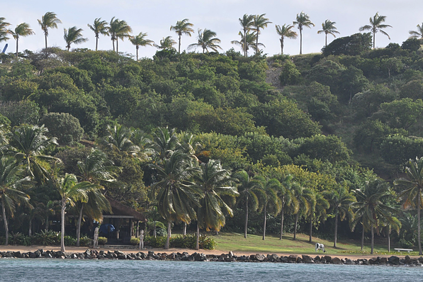 Có gì trong 'hòn đảo ấu dâm' của tỷ phú Mỹ - Hình 5 Co gi trong 'hon dao au dam' cua ty phu My-Hinh-5