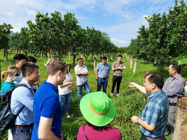 Mã số vùng trồng: Chìa khóa mở cửa để nông sản Bà Rịa – Vũng Tàu vươn xa - Hình 2 Ma so vung trong: Chia khoa mo cua de nong san Ba Ria – Vung Tau vuon xa-Hinh-2