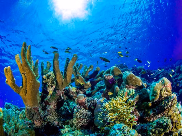 Day la hon dao tuyet voi nhat hanh tinh-Hinh-7