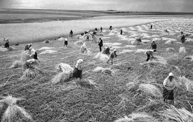 Hé lộ cuộc sống ở Ukraine dưới thời Liên Xô - Hình 6 He lo cuoc song o Ukraine duoi thoi Lien Xo-Hinh-6