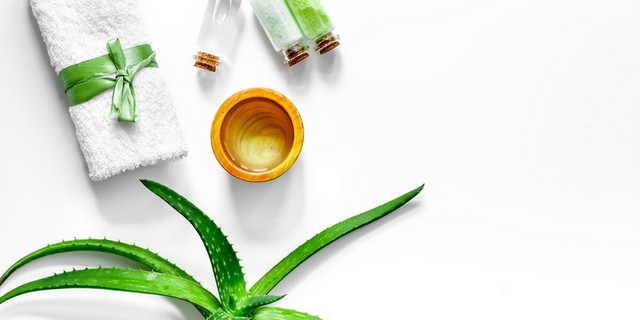 Nha đam có công dụng cực đặc biệt ít người biết - Hình 8 Nha dam co cong dung cuc dac biet it nguoi biet-Hinh-8