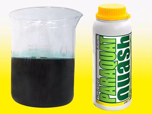 Loại nước rất phổ biến làm tăng nguy cơ Parkinson - Hình 9 Loai nuoc rat pho bien lam tang nguy co Parkinson-Hinh-9