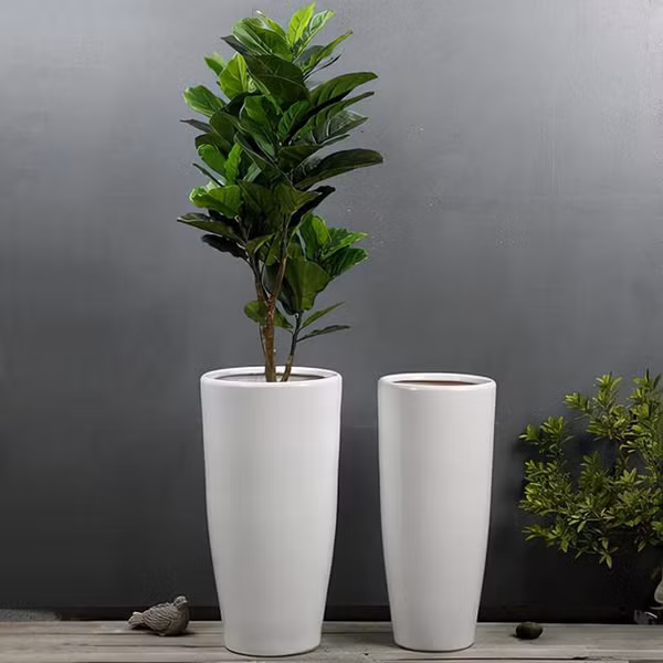 Trồng cây lưu ý loại chậu không nên mua - Hình 3 Trong cay luu y loai chau khong nen mua-Hinh-3