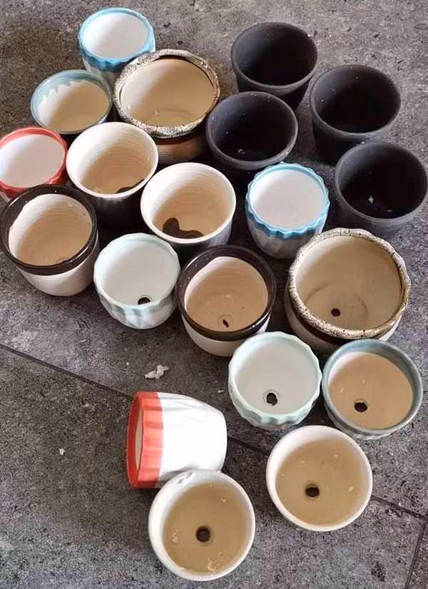 Trồng cây lưu ý loại chậu không nên mua - Hình 2 Trong cay luu y loai chau khong nen mua-Hinh-2
