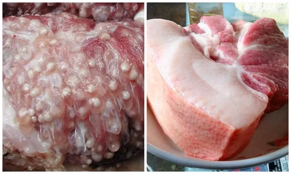 Nên tránh ăn 4 bộ phận cực bẩn ở lợn để không rước bệnh - Hình 3 Nen tranh an 4 bo phan cuc ban o lon de khong ruoc benh-Hinh-3