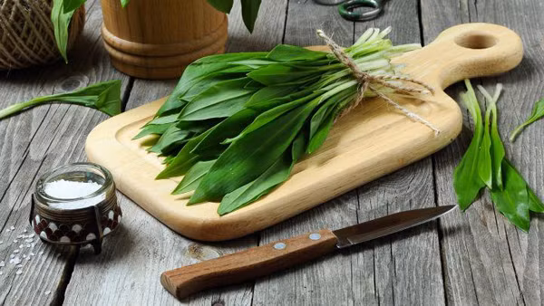 Nhung dieu can luu y khi an rau rung khong phai ai cung biet-Hinh-10