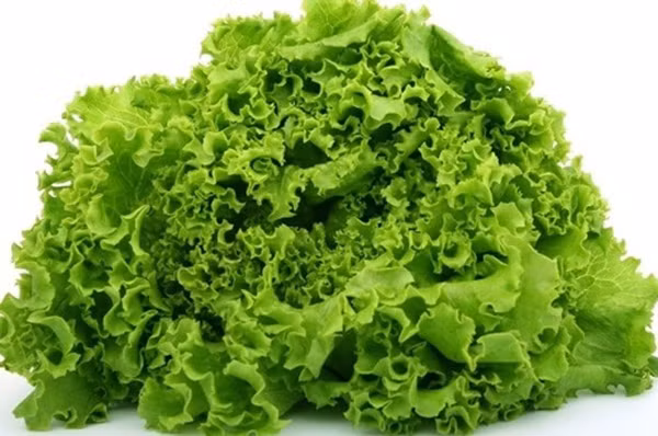 Lưu ý 3 vị trí đau cảnh báo bệnh thận - Hình 12 Luu y 3 vi tri dau canh bao benh than-Hinh-12