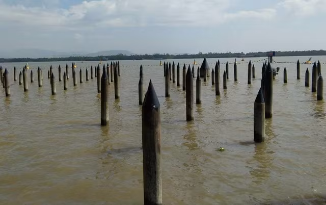 Biết gì về người hiến kế bày trận trên sông Bạch Đằng? - Hình 6 Biet gi ve nguoi hien ke bay tran tren song Bach Dang?-Hinh-6