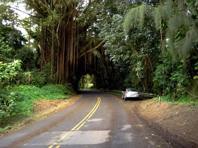 Hawaii cũng có những địa điểm lạnh gáy như ma ám - Hình 13 Hawaii cung co nhung dia diem lanh gay nhu ma am-Hinh-13