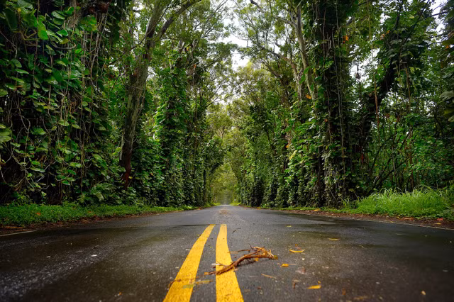 Hawaii cũng có những địa điểm lạnh gáy như ma ám - Hình 8 Hawaii cung co nhung dia diem lanh gay nhu ma am-Hinh-8