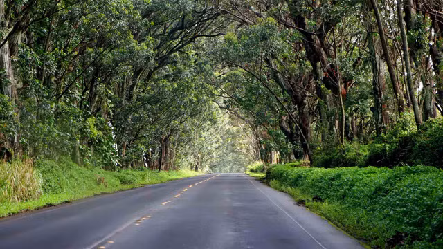 Hawaii cũng có những địa điểm lạnh gáy như ma ám - Hình 7 Hawaii cung co nhung dia diem lanh gay nhu ma am-Hinh-7