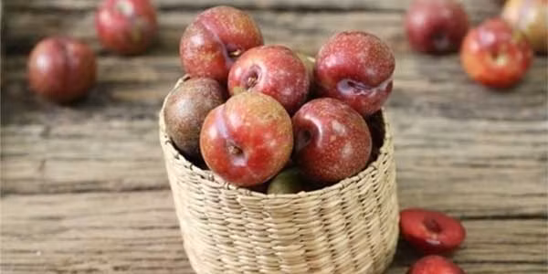 Quả mận cực có lợi cho sức khỏe mà ít ai biết - Hình 3 Qua man cuc co loi cho suc khoe ma it ai biet-Hinh-3