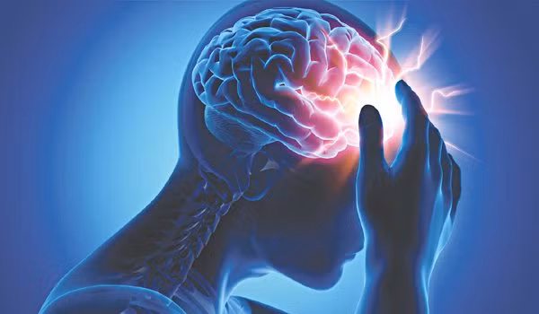 Quả mận cực có lợi cho sức khỏe mà ít ai biết - Hình 9 Qua man cuc co loi cho suc khoe ma it ai biet-Hinh-9