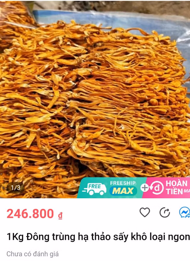 Chất lượng của đông trùng hạ thảo bán đầy chợ mạng như nào? Chat luong cua dong trung ha thao ban day cho mang nhu nao?