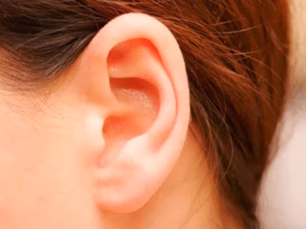 Lưu ý 3 bộ phận trên cơ thể phụ nữ càng to càng có lợi - Hình 3 Luu y 3 bo phan tren co the phu nu cang to cang co loi-Hinh-3