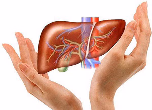 Thói quen hại gan khủng khiếp hơn rượu mạnh - Hình 8 Thoi quen hai gan khung khiep hon ruou manh-Hinh-8