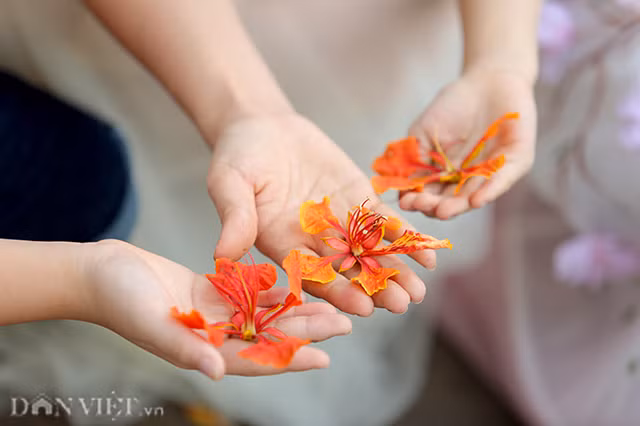 Than tho voi hang phuong ruc do o Ha Noi bao hieu he ve-Hinh-9