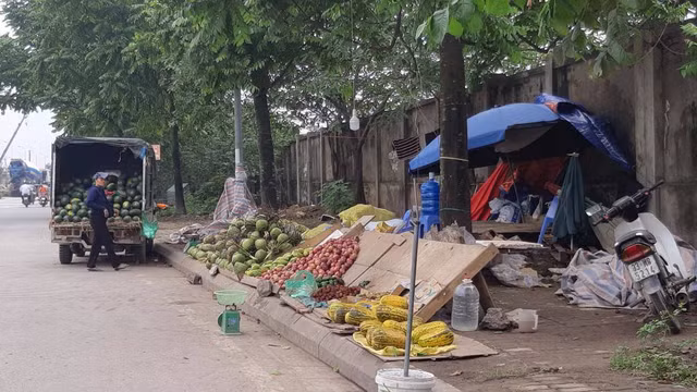 Ngan ngam canh hang rong moc nhu nam tren dai lo Thang Long