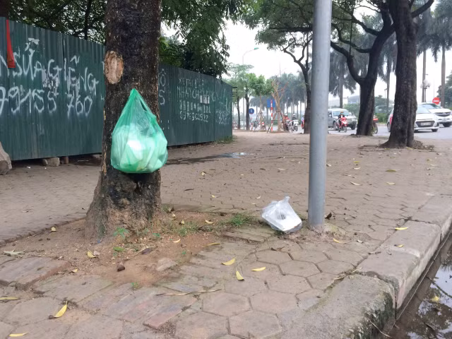 Ha Nội ngập rác chẳng khác gì đường làng - Hình 7 Ha Noi ngap rac chang khac gi duong lang-Hinh-7
