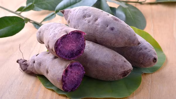 Vì sao khoai lang được mệnh danh là “vua các loại rau củ”? - Hình 5 Vi sao khoai lang duoc menh danh la “vua cac loai rau cu”?-Hinh-5