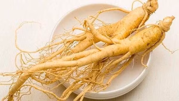 Vì sao khoai lang được mệnh danh là “vua các loại rau củ”? - Hình 9 Vi sao khoai lang duoc menh danh la “vua cac loai rau cu”?-Hinh-9