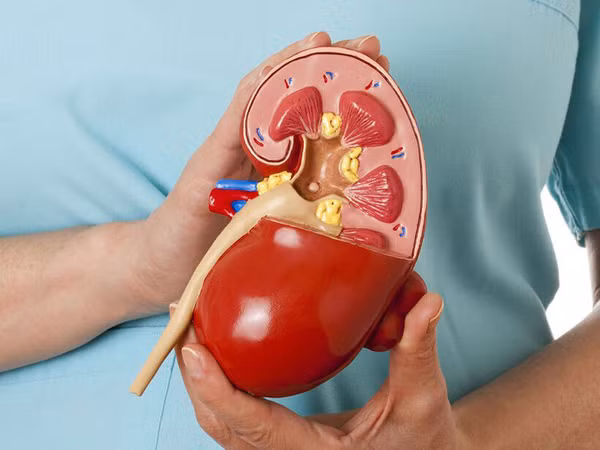 Lưu ý thói quen lúc ngủ dậy hại thận khủng khiếp - Hình 6 Luu y thoi quen luc ngu day hai than khung khiep-Hinh-6