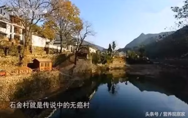 Làng không ung thư và tuổi thọ cao ở Trung Quốc nhờ loại cây này Lang khong ung thu va tuoi tho cao o Trung Quoc nho loai cay nay