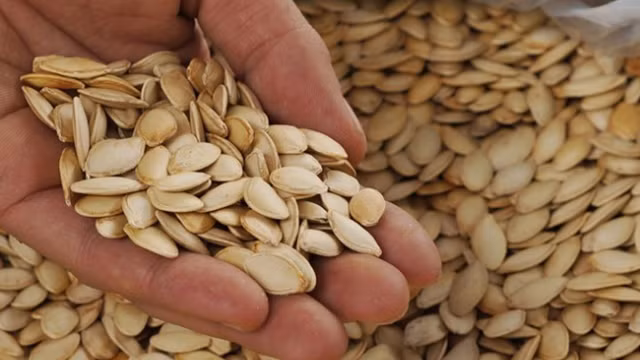 Hạt bí ngô, hạt đu đủ tiêu diệt giun sán tận gốc, không cần dùng thuốc - Hình 9 Hat bi ngo, hat du du tieu diet giun san tan goc, khong can dung thuoc-Hinh-9