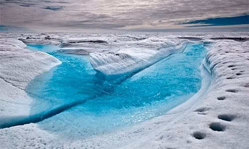 Liệu thảm hoạ có xảy ra khi băng Greenland tan mạnh? - Hình 10 Lieu tham hoa co xay ra khi bang Greenland tan manh?-Hinh-10
