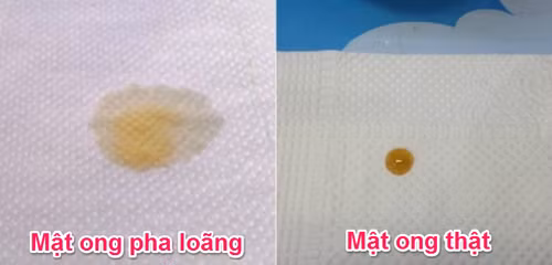 Cách phân biệt mật ong thật, giả như thế nào? - Hình 11 Cach phan biet mat ong that, gia nhu the nao?-Hinh-11