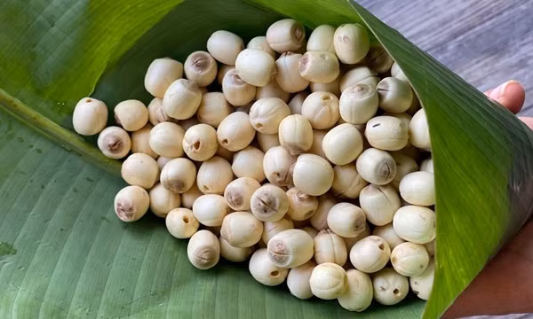Thực phẩm cực bổ gan thận trong tiết trời thu đông - Hình 2 Thuc pham cuc bo gan than trong tiet troi thu dong-Hinh-2