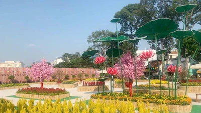 Khu đất vàng bỏ hoang thành vườn xuân rực rỡ ở TP HCM