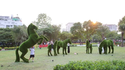 Hàng loạt đất vàng bỏ hoang biến thành vườn xuân rực rỡ tại TP HCM