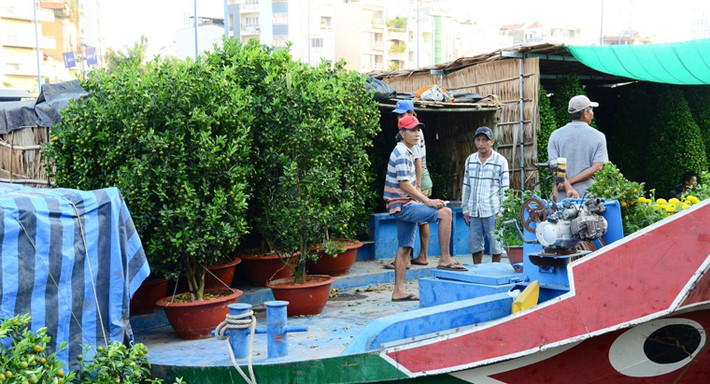 Tại khu vực bến Bình Đông (quận 8, TP HCM), tàu thuyền từ các tỉnh miền Tây tấp nập chở hoa, kiểng về neo đậu tạo nên phiên chợ “trên bến dưới thuyền” độc đáo giữa Sài Gòn.