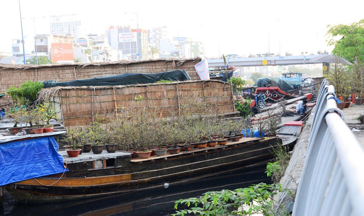 Ghe thuyền tấp nập mang hoa tươi đến từ các tỉnh miền Tây mang lên bán dọc bờ sông đủ loại hoa mai, quất kiểng, vạn thọ, hoa lan, xương rồng...