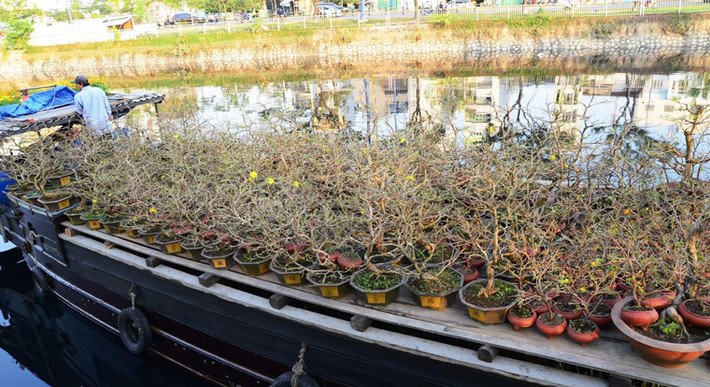 Chợ hoa “trên bến dưới thuyền” nổi tiếng nhiều năm qua mỗi khi Xuân về.