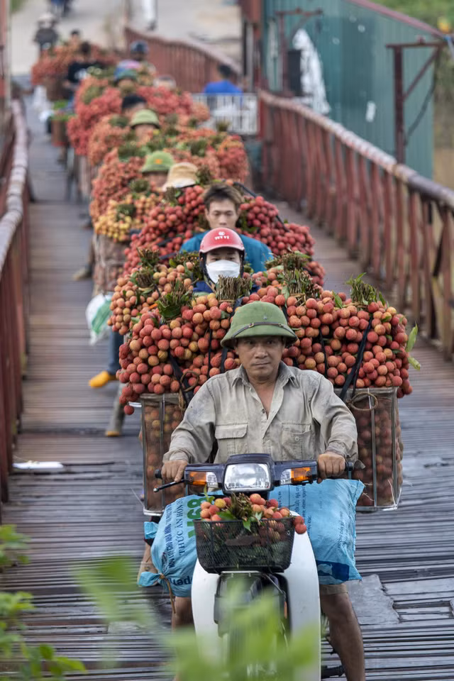 Chum anh xe cho vai thieu ngap tran mua vu thang 7-Hinh-8